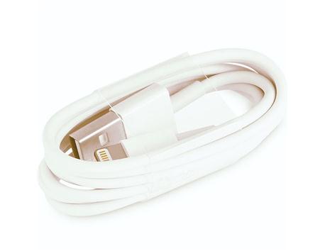 USB-C - Lightning Kablosu (1 m)