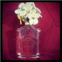 parfüm daisymarcjocabs orjinal koku