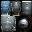 UNIVERSAL 300 WATT KABİN HOPARLÖR 
