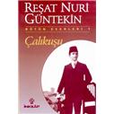 Çalıkuşu-Reşat Nuri Güntekin