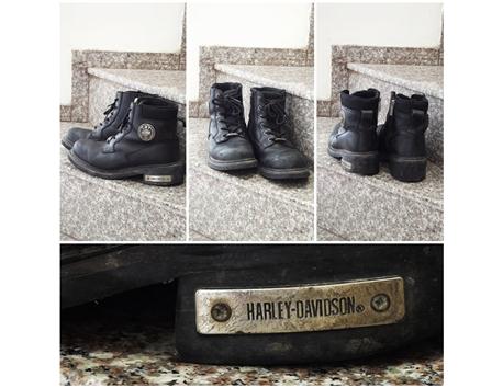 Harley Davidson Bot 42 Numara