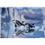 Yapılmış Puzzle 500 Parça