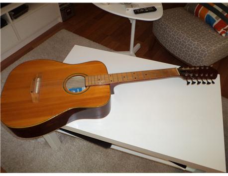 12 telli gitar (akustik)