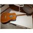 12 telli gitar (akustik)