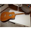 12 telli gitar (akustik)