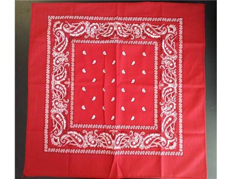  BANDANA TOPTAN AKSESUAR