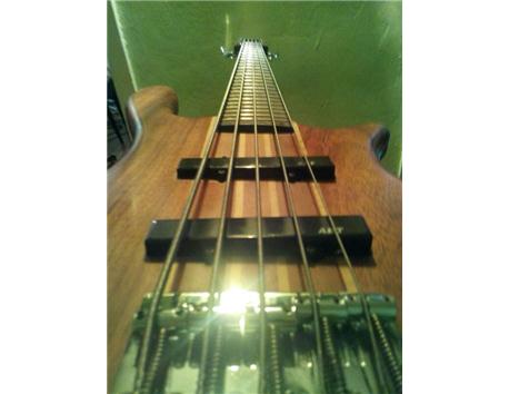 WASHBURN T25 Bu Fiyata Başka Bulamazsınız 