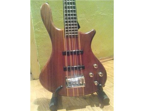 WASHBURN T25 Bu Fiyata Başka Bulamazsınız 