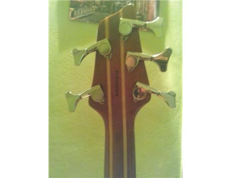WASHBURN T25 Bu Fiyata Başka Bulamazsınız 