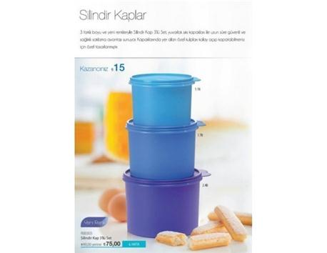 renkli bir tupperware saklama kabı 