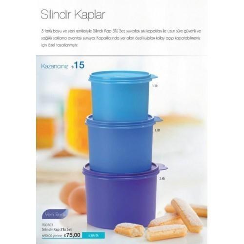 renkli bir tupperware saklama kabı 