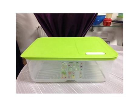 TUPPERWARE YEŞİLLİK SAKLAMA KUTUSU 