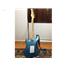 Elektro Gitar