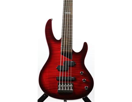 LTD  B55 FM