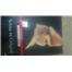 6 kitap