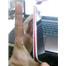 HTC DESİRE 500 FULL KUTU 14 AY GARANTİ 
