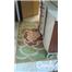 3 yolluk 100 tl (2.75mt, 2.25mt, 1.50 mt)