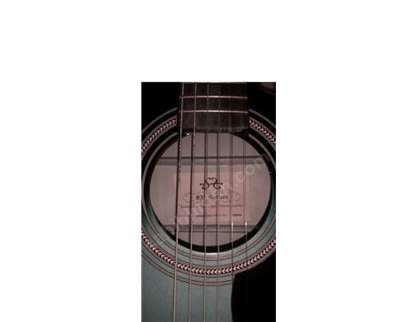Elektro akustik gitar canon lens ile takas