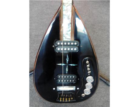 PROFESYONEL SAHNELİK ELEKTRO BAĞLAMA  (TAKASA AÇIKTIR)