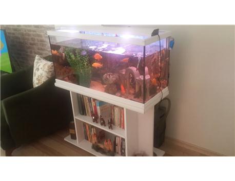 modern mobilyalı akvaryum full Balıklarla beraber 100*40*50