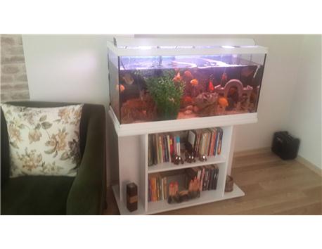 modern mobilyalı akvaryum full Balıklarla beraber 100*40*50