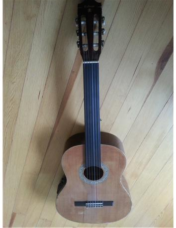 Perdesiz Elektro Akustik Gitar (extreme marka)