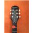 Epiphone Les Paul 100 Standart