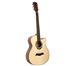 Akustik Gitar / Cuaway modeli ( sıfır çantasında )