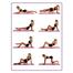 Foam Roller Kısa Yoga ve Pilates telefon takaslı