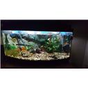 Ful set akvaryum
