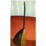Gitar burgulu fishmenli