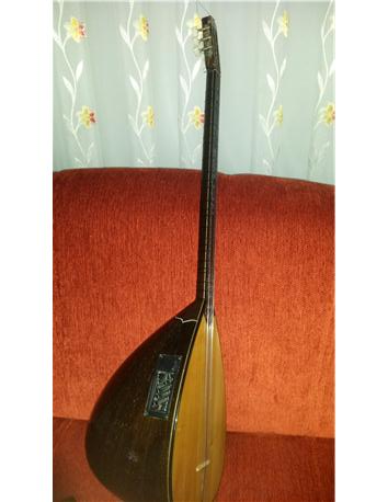 Gitar burgulu fishmenli