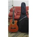 ELEKTRO KLASİK GİTAR ACİL SATILIK
