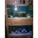 satilik mobilyali akvaryum