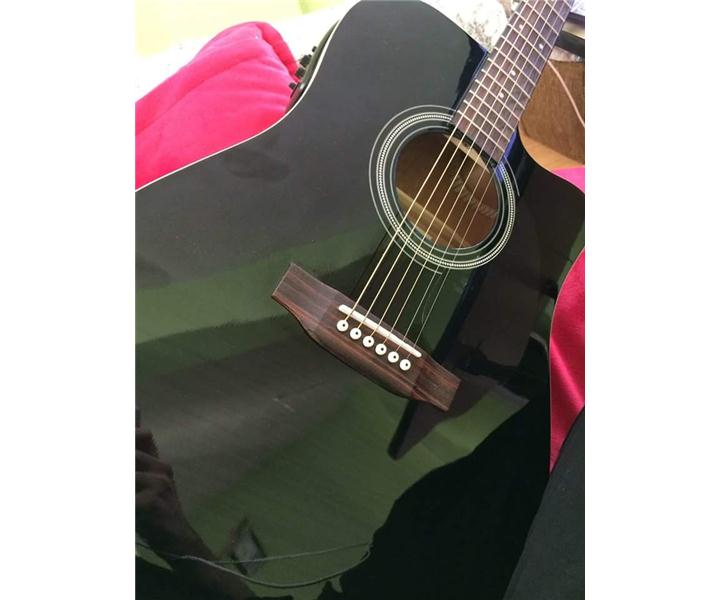 Sx Elektro Akistik gitar