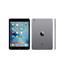 Ipad mini 16 GB 
