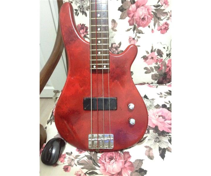 J&D Brother Bass Gitar