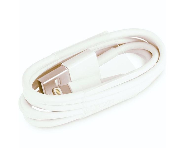 USB-C - Lightning Kablosu (1 m)
