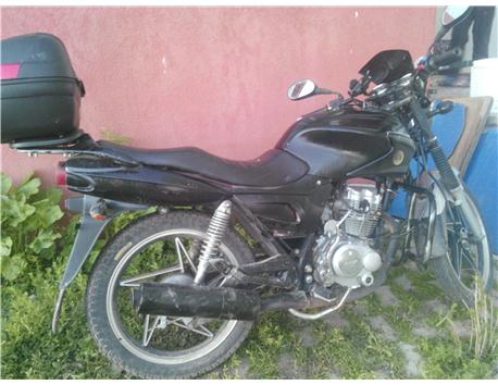 satılık ve tks lık üründür kuba 150 cita dır aslan gibi kükrer  pılaka yoktur 