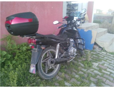 satılık ve tks lık üründür kuba 150 cita dır aslan gibi kükrer  pılaka yoktur 