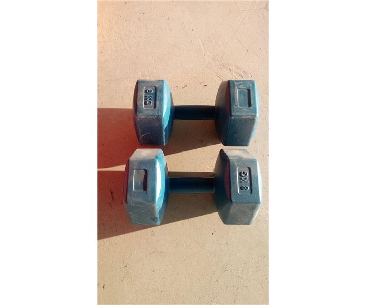 SAPASAĞLAM BOKS TORBASI VE 8 KG ÇİFT DAMBIL