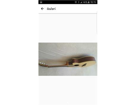 Ibanez AEG10NE elektro klasik gitar