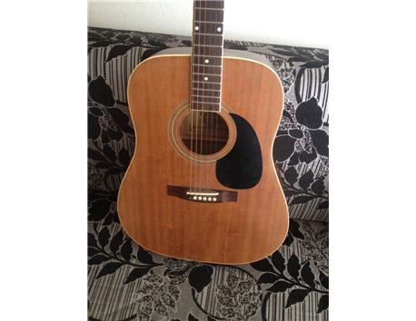 Extreme XA30 Akustik Gitar