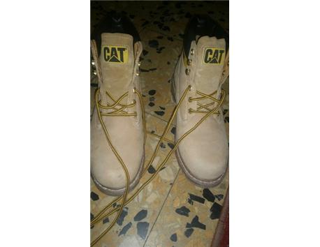 Orjinal Cat Bot