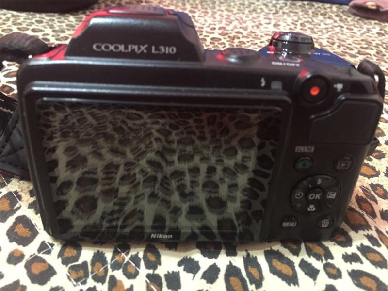 Nikon CoolPix L310
