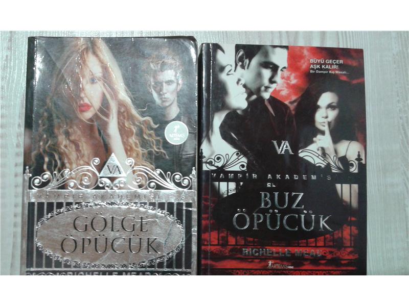 vampir akademisi serisi