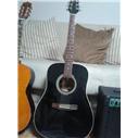 ELEKTRO GİTAR VE AMFİ 38 WATT