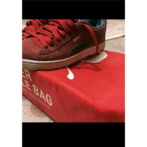 Puma orjinal