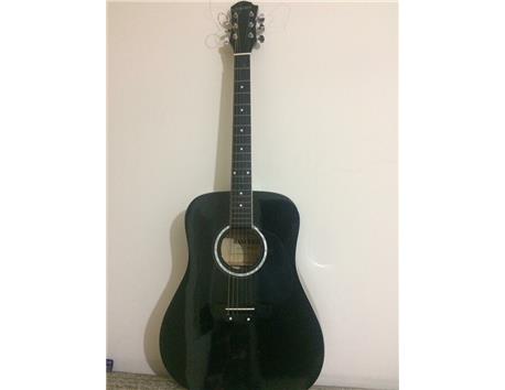 Sanchez akustik gitar
