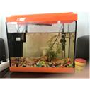 50cm bombeli akvaryum+35 cm turuncu akvaryum+30 balık+2hava motoru+2ısıtıcı+led lamba+beyaz kum+taşlar+yem her şey içinde